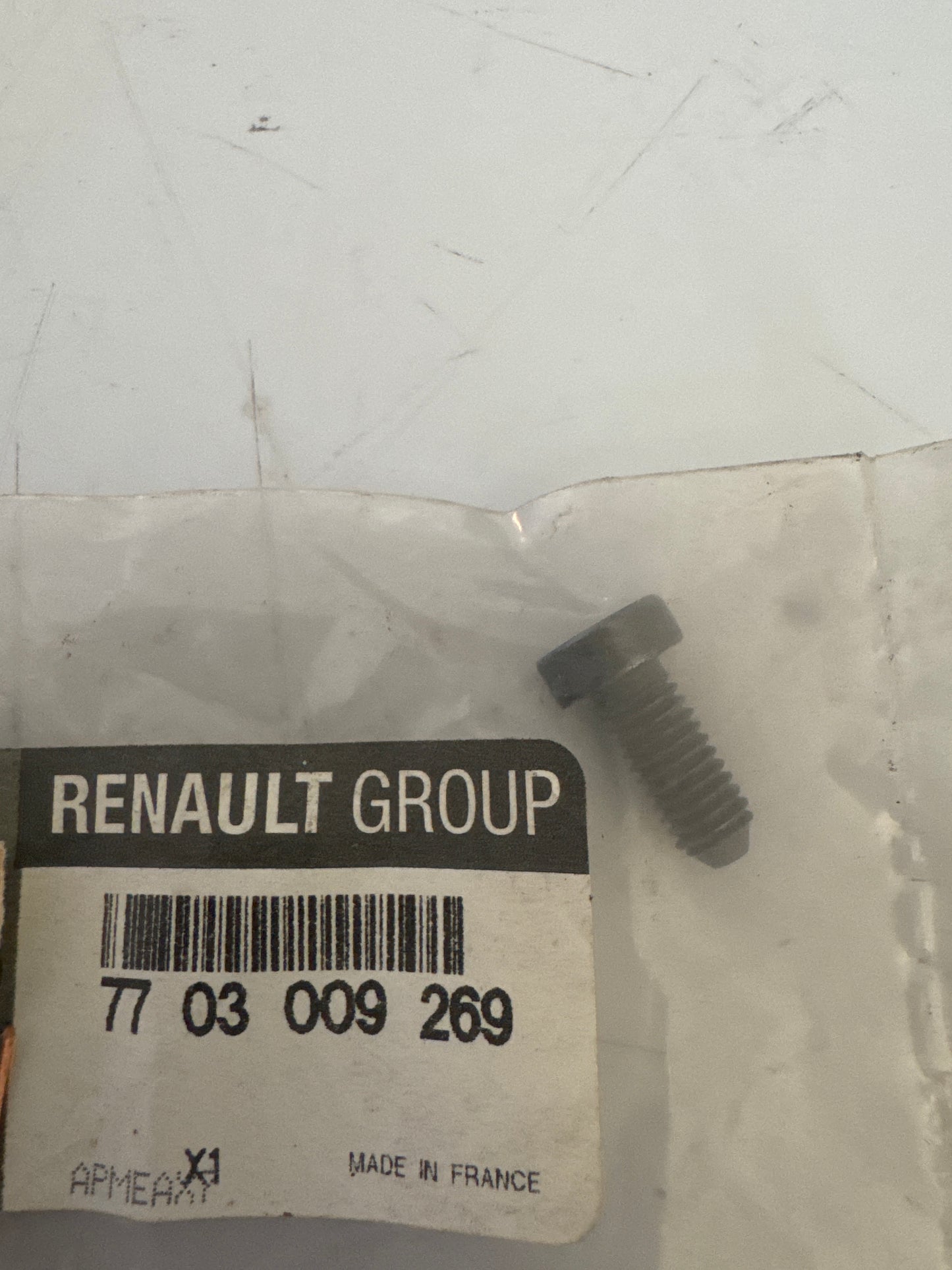 7703009269, TORNILLO M6X100, Renault