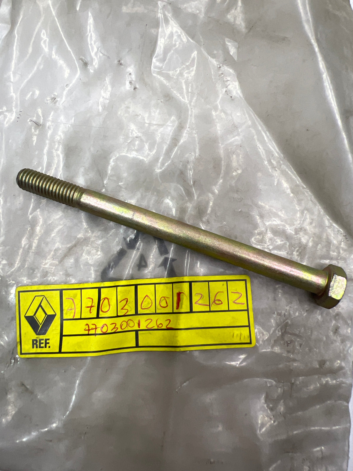 Tornillo de fijación Renault 7703001262