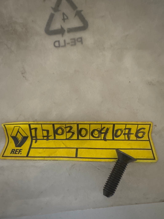 7703004076, TORNILLO, Renault