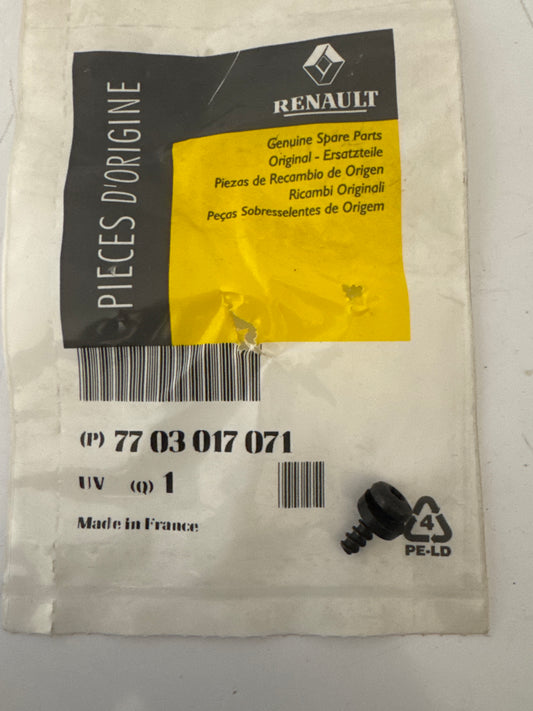 7703017071, TORNILLO, Renault