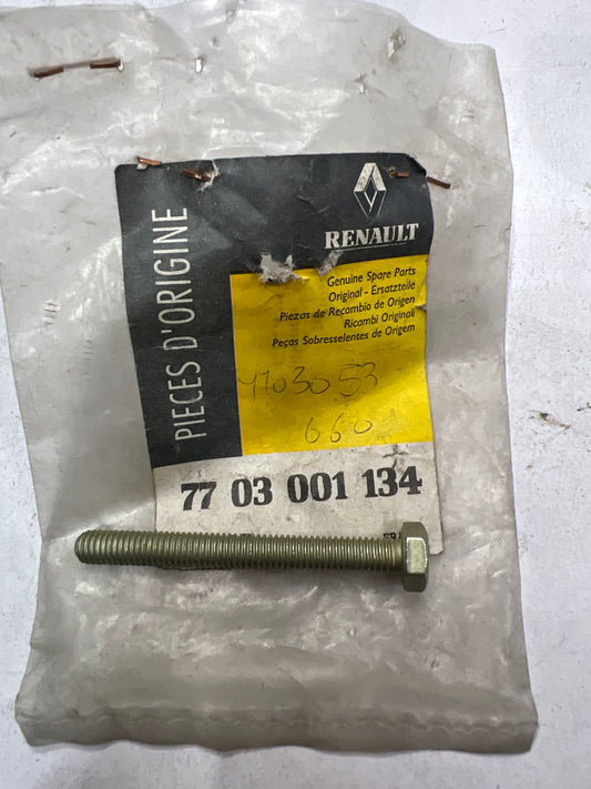 7703001134 TORNILLO FIJAC B RENAULT