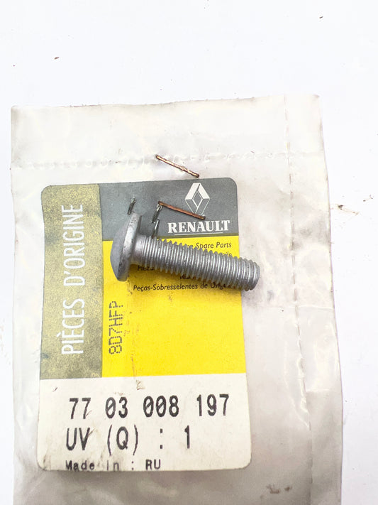 7703008197 TORNILLO RENAULT