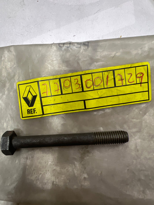 7703001729 TORNILLO RENAULT