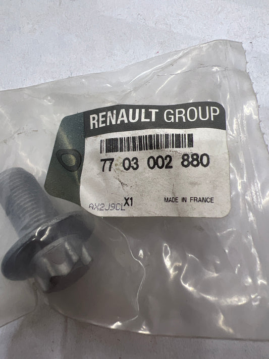 7703002880 TORNILLOS RENAULT