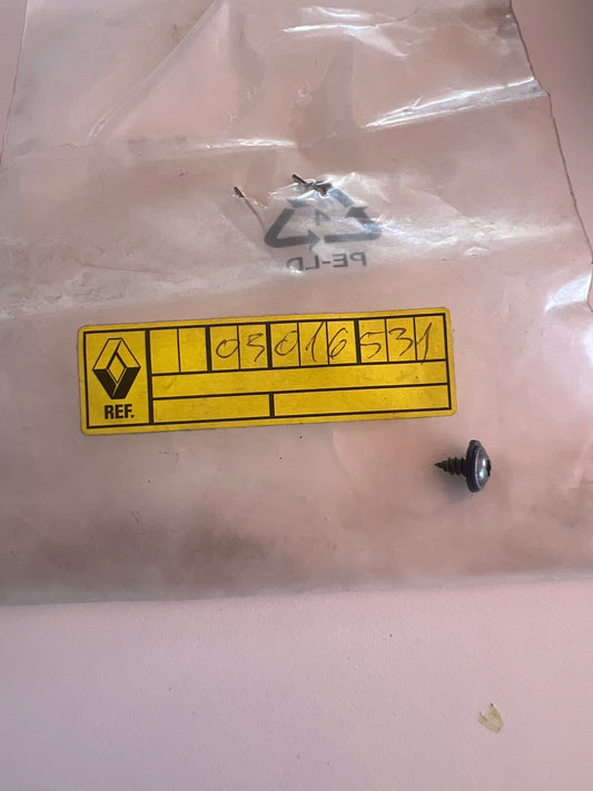 7703016531 TORNILLO RENAULT