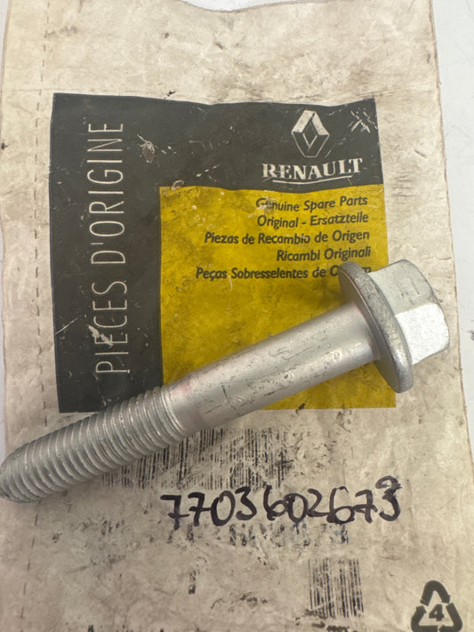 7703602673, Tornillo, Renault