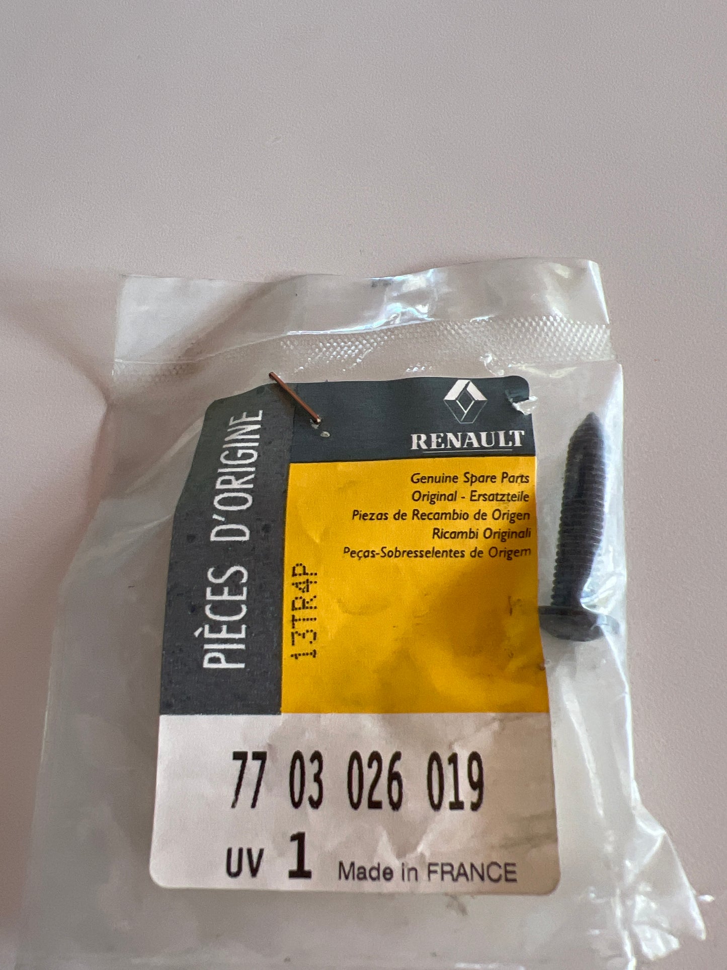 7703026019 TORNILLO RENAULT