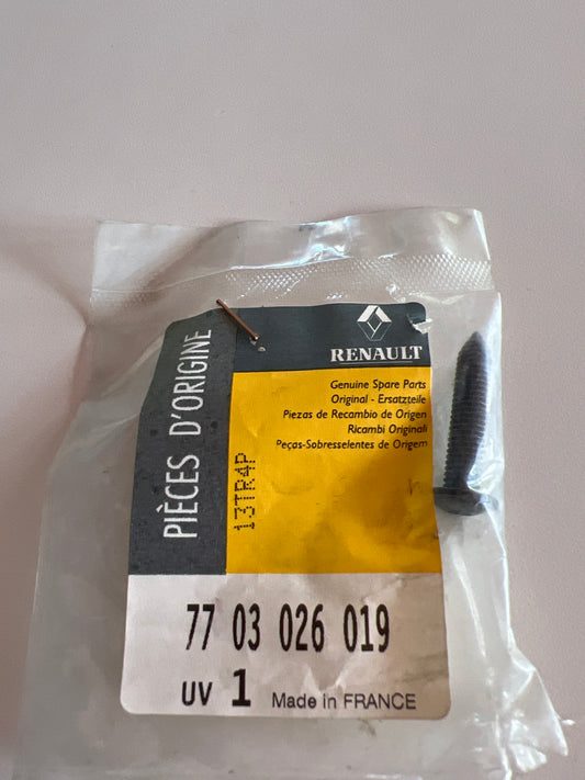 7703026019 TORNILLO RENAULT