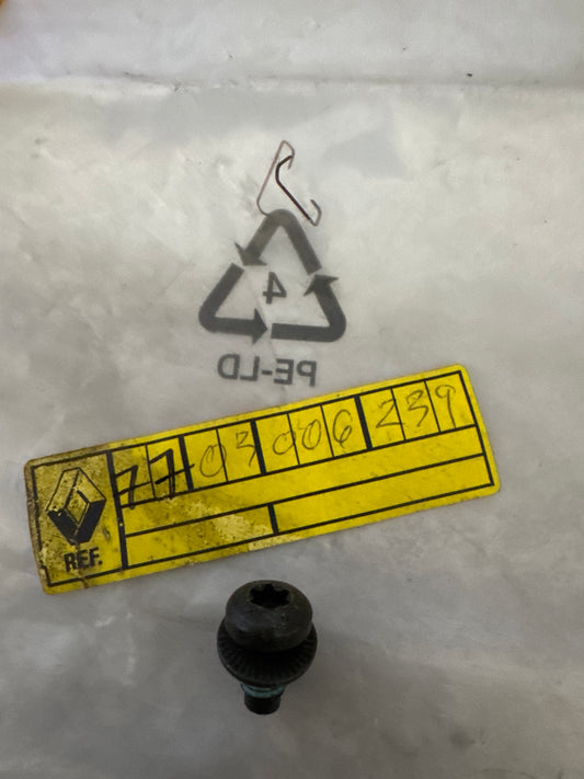 7703006239, TORNILLO M8X125, Renault