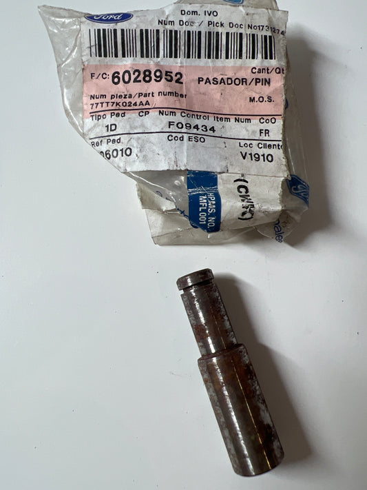 6028952, PIN, Ford