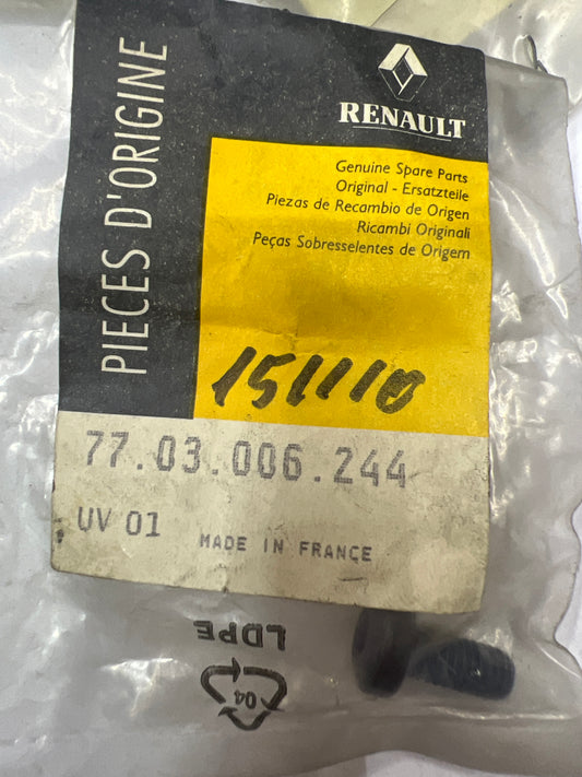 7703006244 TRN CBLX M6*100 RENAULT