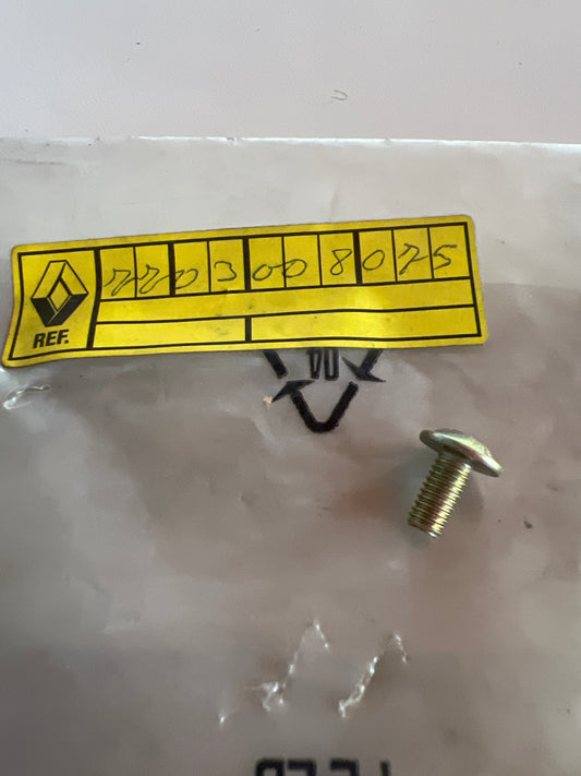 7703008075 TORNILLO DE FIJACIÓN RENAULT