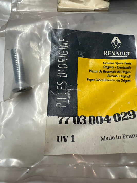 7703004029 TORNILLO CERRA RENAULT