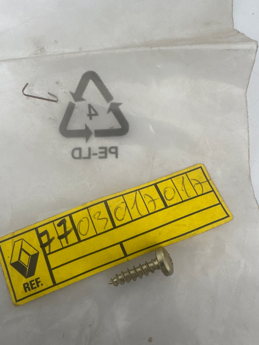 7703017017, TORNILLO, Renault