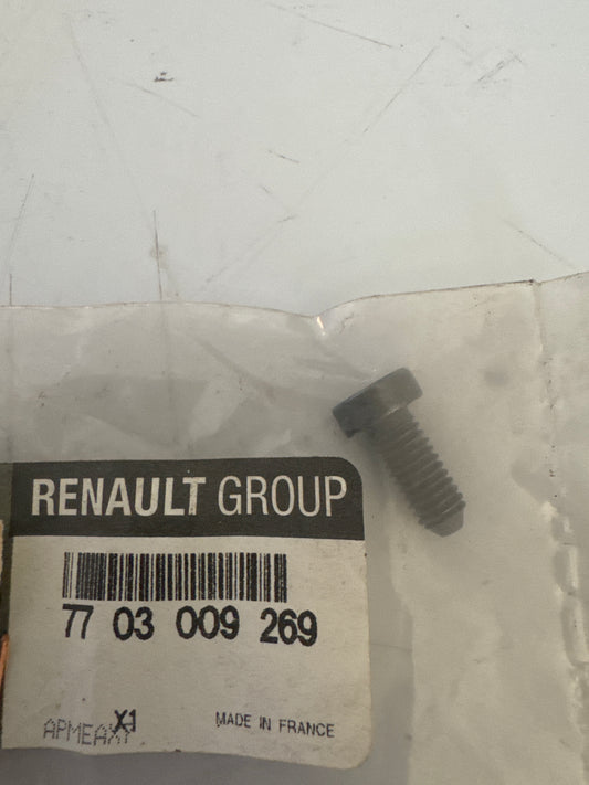 7703009269, TORNILLO M6X100, Renault