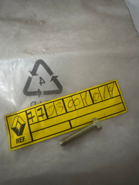 7703001014, TORNILLO 5X80, Renault