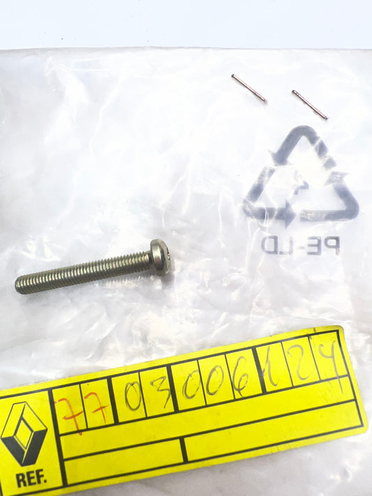 7703006124 TORNILLO RENAULT