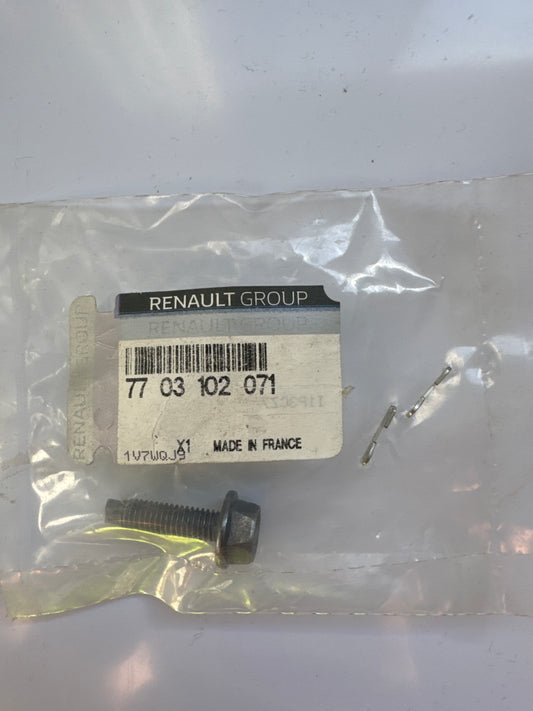 7703102071, TORNILLO M6X100, Renault