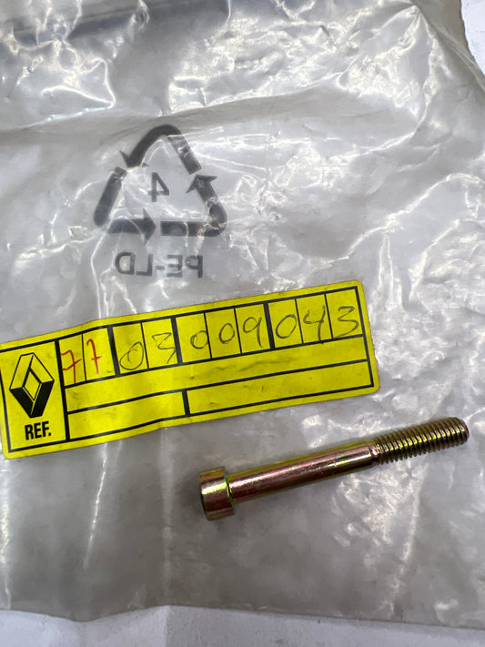 7703009043 TORNILLO 6X100-50 RENAULT