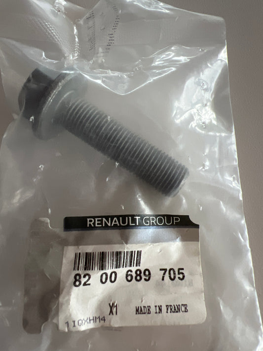8200689705 Renault TORNILLO