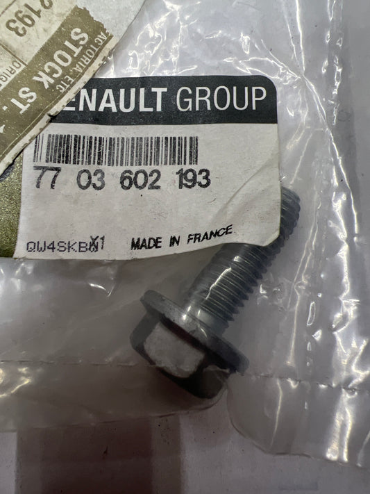 7703602193 TORNILLO M8X125 RENAULT