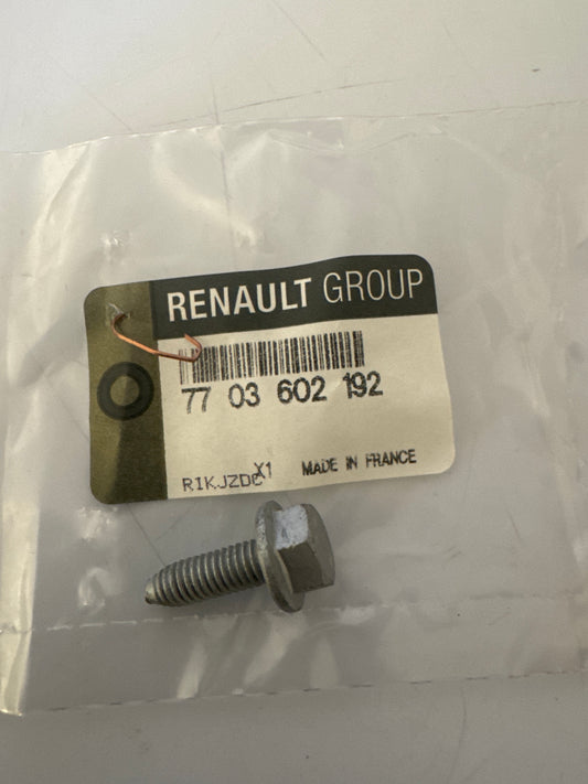 7703602192, TORNILLO M6X100, Renault