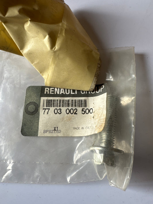 7703002500, TORNILLO M8X125, Renault