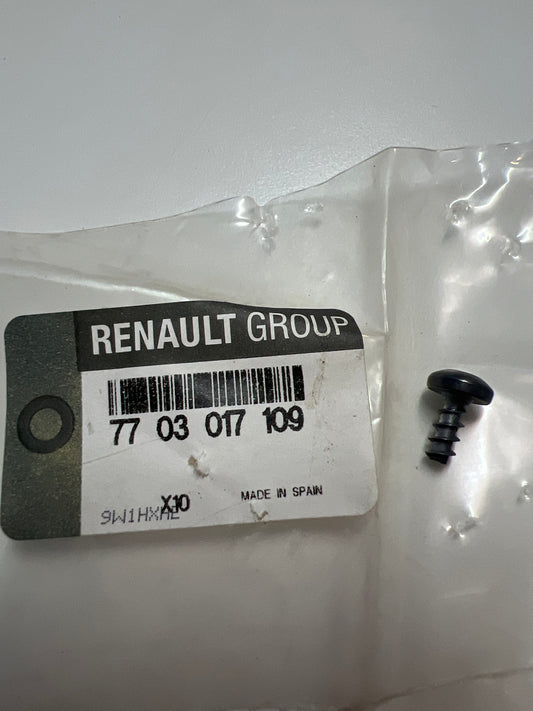7703017109 Renault 10