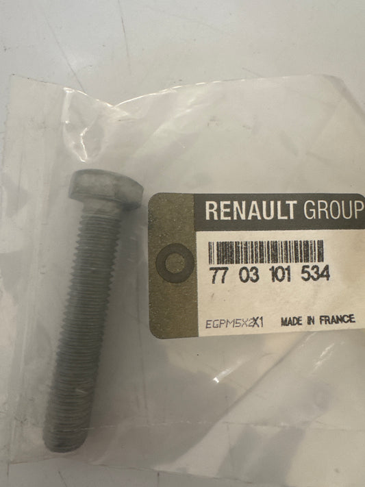7703101534, TORNILLO, Renault