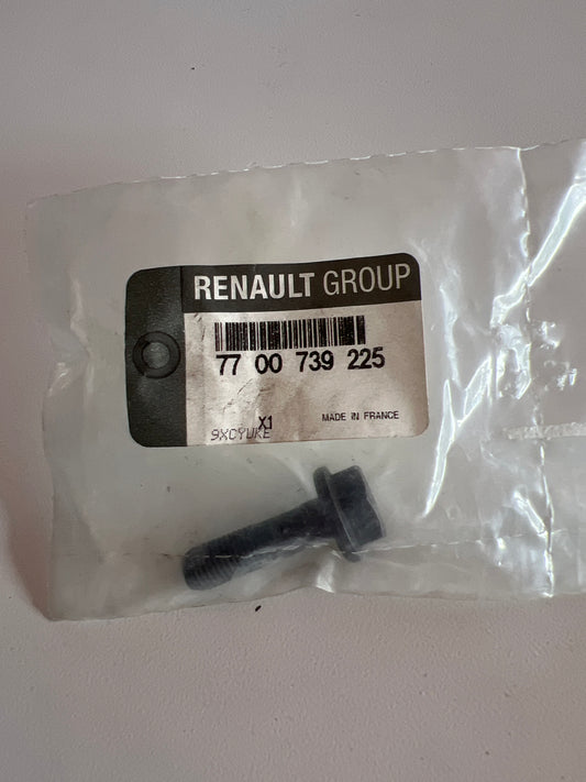 7700739225 TORN M8X100-27 RENAULT