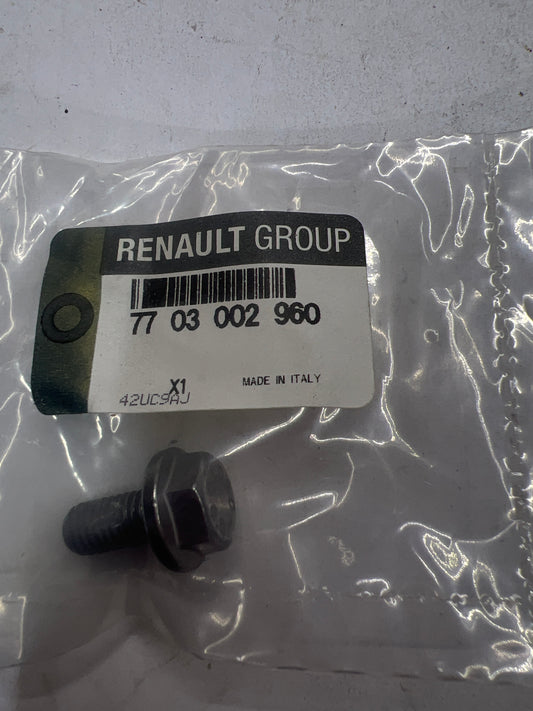 7703002960 TORNILLO RENAULT