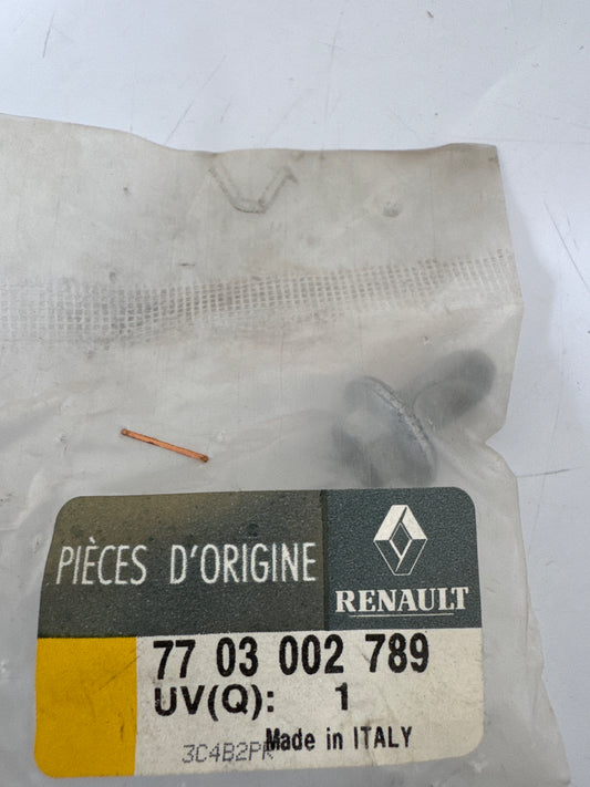 7703002789, TORNILLO, Renault