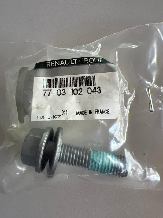 7703102043 Renault TOR.M10X150
