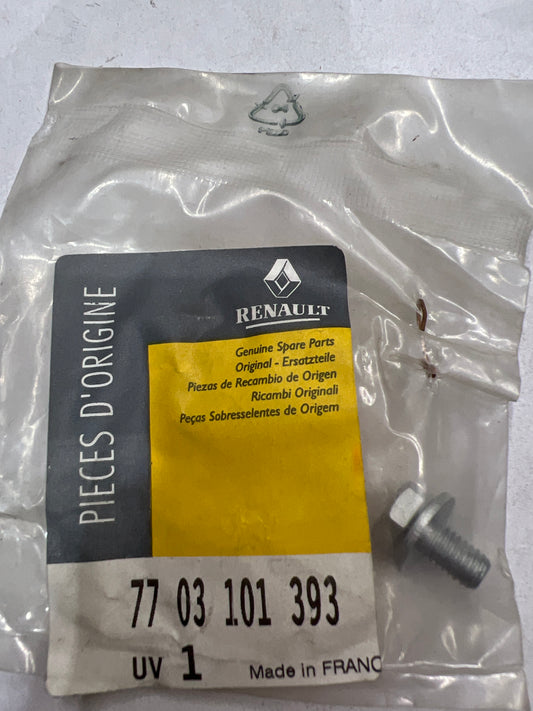 7703101393 TORNILLO M6 RENAULT