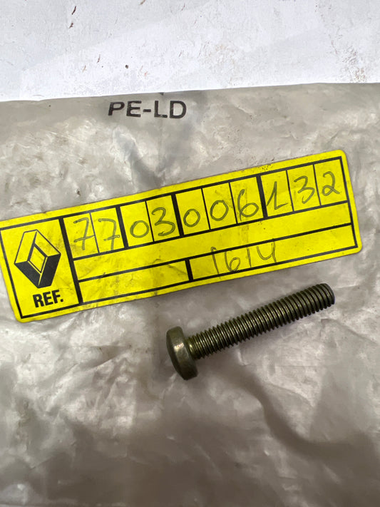 7703006132 1=10 TORNILLOS RENAULT