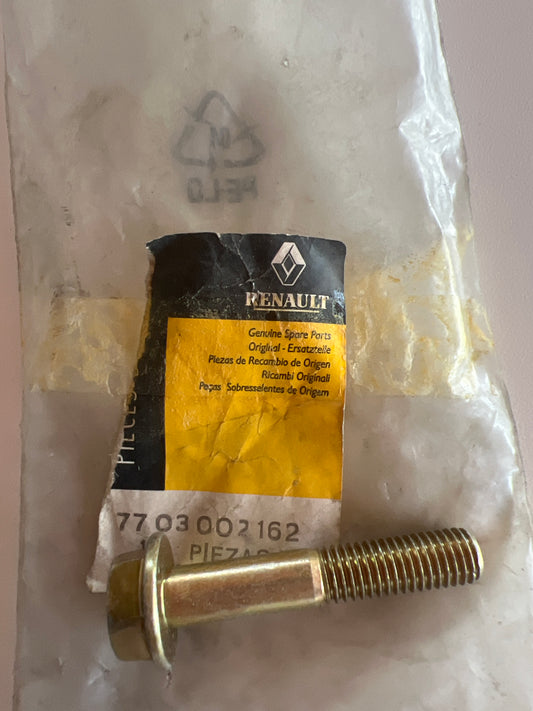 7703002162 TORNILLO HEXAGONAL RENAULT
