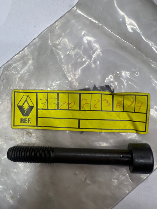 7700723614 SCRW RENAULT