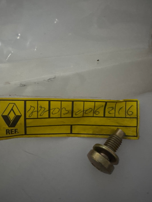7703006216, TORNILLO M8X125, Renault