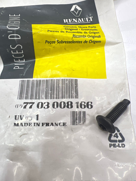 7703008166 TORNILLO M6X100 RENAULT