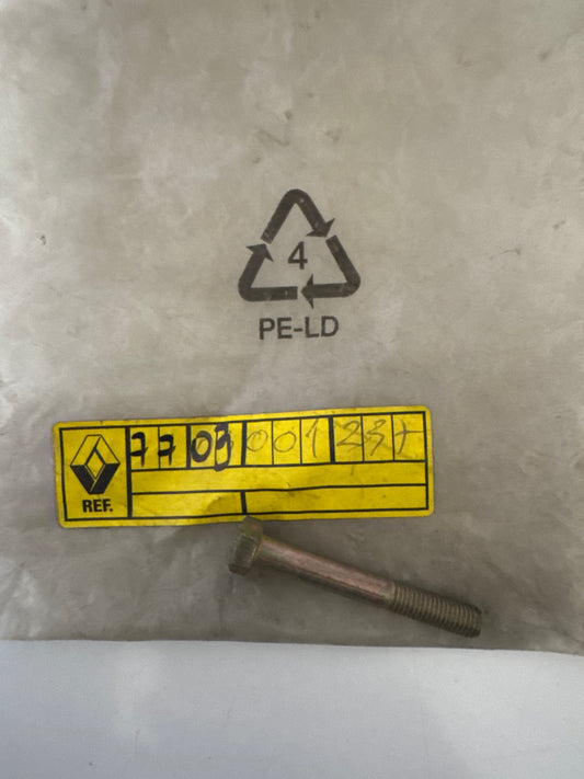 7703001237, TORNILLO HM 7X50, Renault