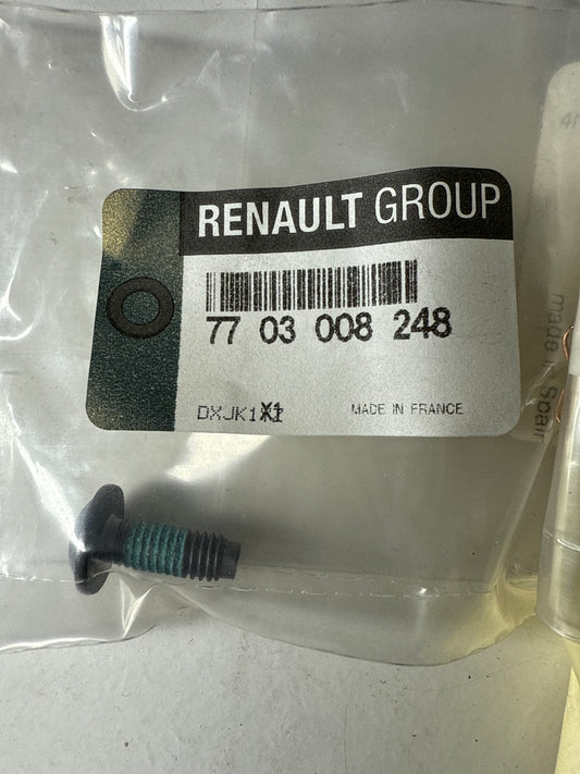 7703008248 - TORNILLOM6X100-1 - Renault