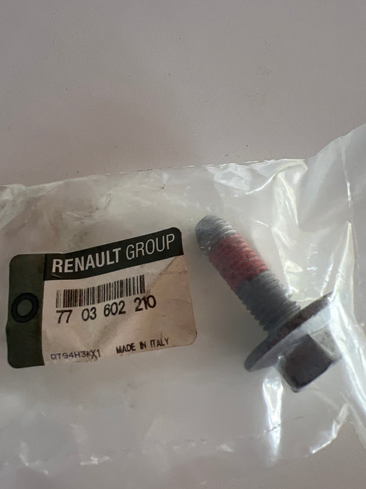 7703602210 TORNILLO RENAULT
