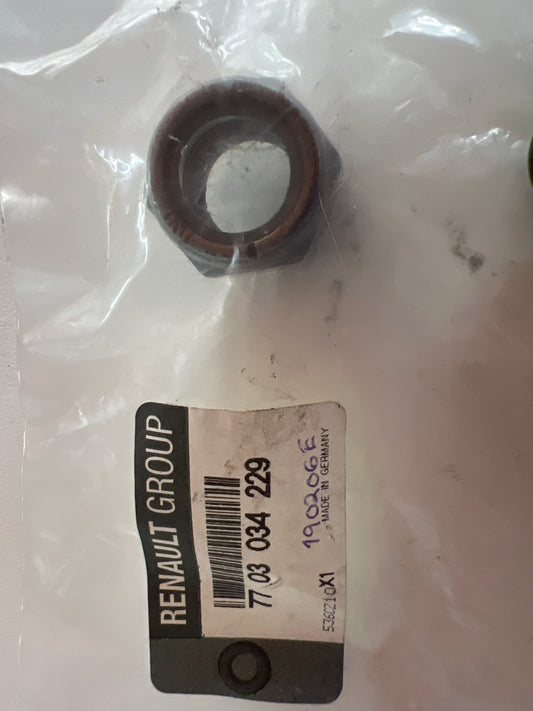 7703034229 TUERCA M16X150 RENAULT