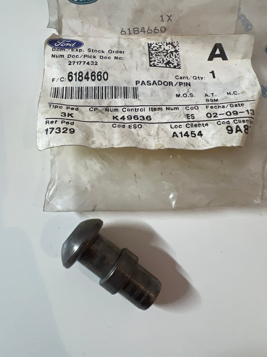 6184660, CERDO, Ford