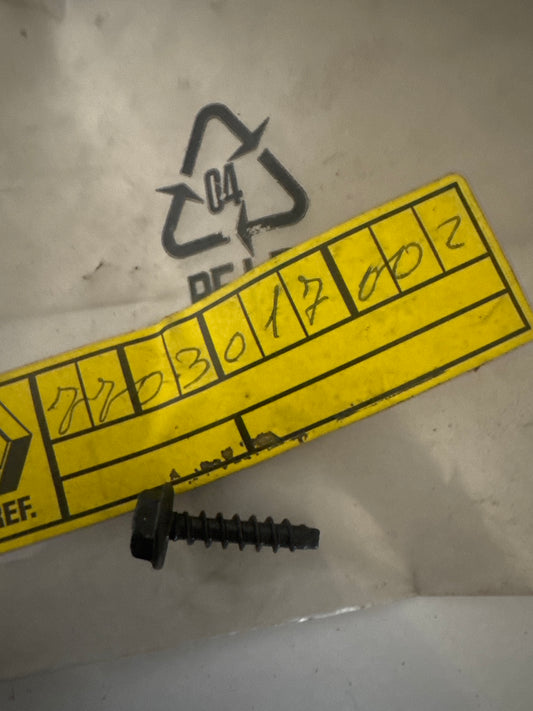 7703017002, TORNILLO, Renault