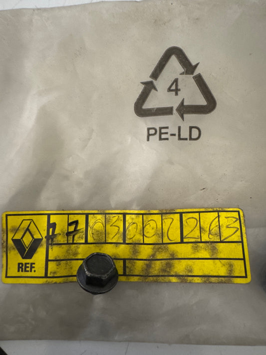 7703002263, *VIS H     6X100X, Renault