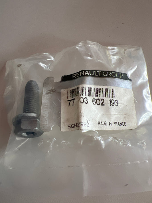 7703602193 TORNILLO M8X125 RENAULT