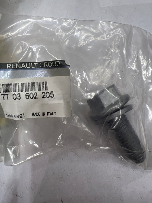 7703602205 TORNILLO RDL M12 RENAULT