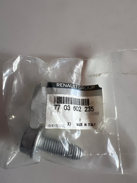 7703602235 TORNILLO H M10X RENAULT