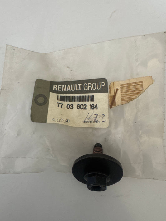 7703602164, TORNILLO, Renault